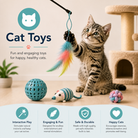 Cat Essentials