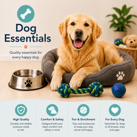 Dog Essentials